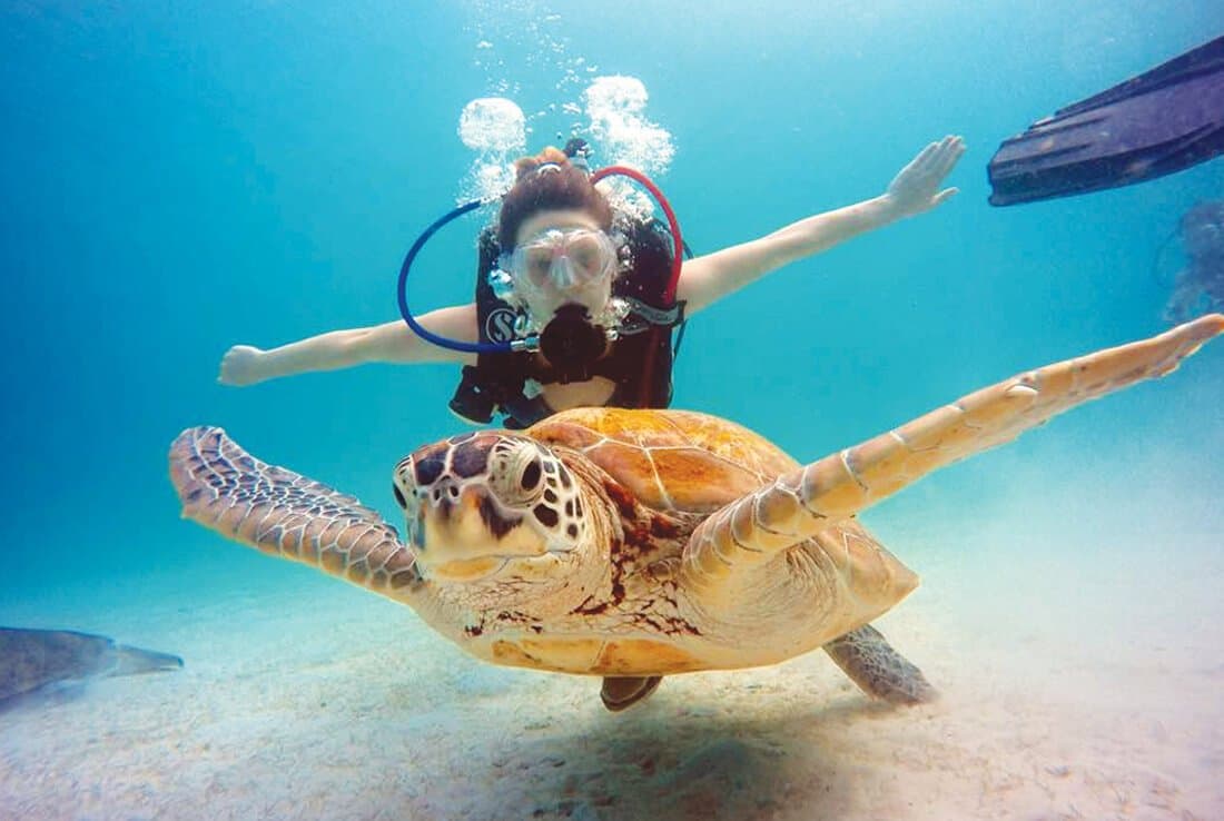纯纯旅游定制游配套 - 7D6N Kuala Lumpur, Malacca & Redang Island Immersive Tour